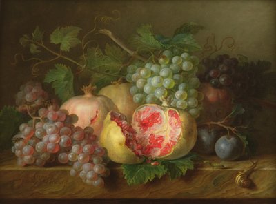 Stillleben mit Granatäpfeln, Trauben und Pflaumen auf einer Marmorkante von Cornelis van Spaendonck