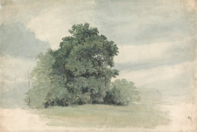 Studie von Bäumen am Feldrand von Cornelius Varley