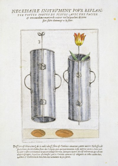 Gerät zum Umpflanzen von Blumen, aus 
