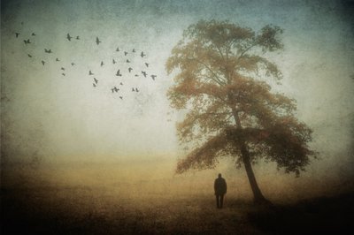 Einsamer Mann im Herbstnebel von Cristiano Giani