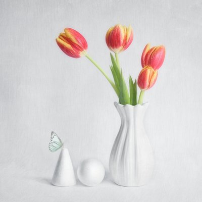 Frühlings-Tulpen Schmetterling von Cristiano Giani
