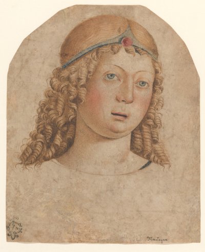 Kopf eines Jugendlichen mit Diadem von Cristoforo Caselli