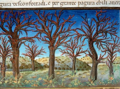 Das Ende der Welt: die Bäume werden mit Blut bedeckt sein von Cristoforo De Predis