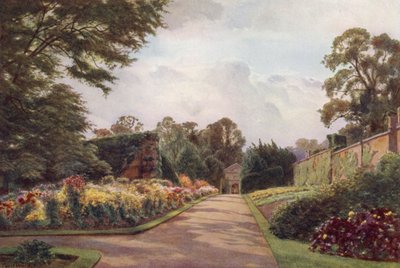 Frühe Chrysanthemen, Claremont von Cyril Ward