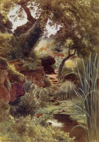 Teil des Steingartens am Oberen See, Sandringham von Cyril Ward