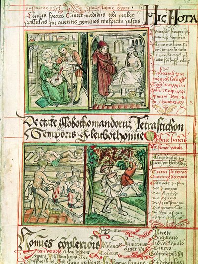 Wie man Krankheiten heilt, aus Tractatus de Pestilencia von Czech School