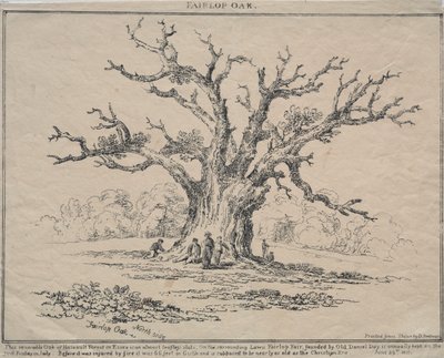 Fairlop Oak von D. H. Redman