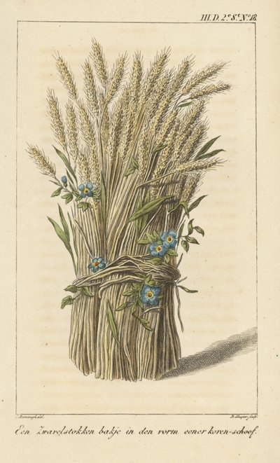 Schale in Form eines Maiskolbens von D. Sluyter