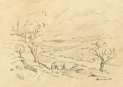 Dartmoor-Pony von Dan Hobday