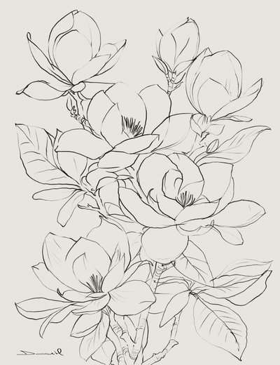 Magnolienbaum von Dan Hobday