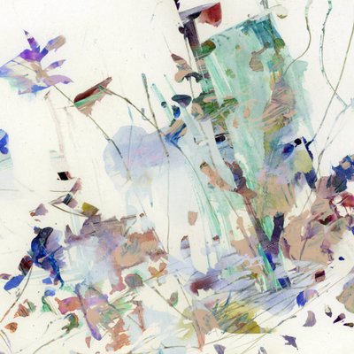 Wilde Blüten von Dan Hobday