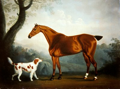 Bay Hunter und Spaniel in einer bewaldeten Landschaft von Daniel Clowes