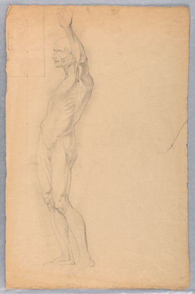 Anatomische Studie eines Mannes, ca. 1850 von Daniel Huntington