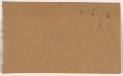 Dash (ein Setter), Kopf und Körper, ca. 1862 von Daniel Huntington