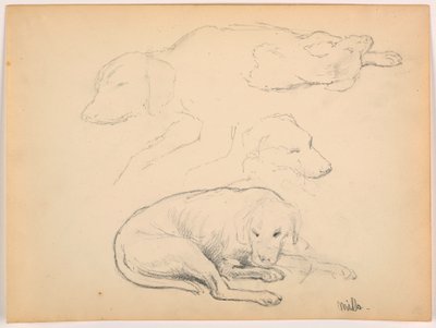 Milo (ein Pointer), Mehrere Studien von Daniel Huntington