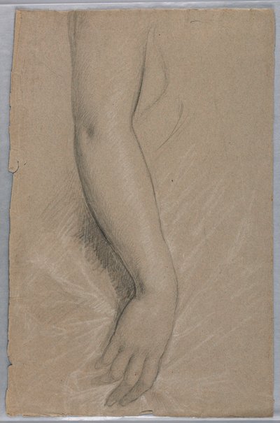 Zeichnung, Frau Rutherford B Hayes, 1880 von Daniel Huntington