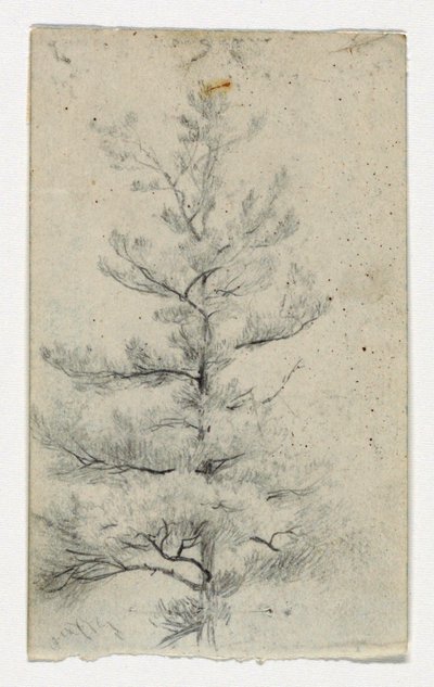 Skizze eines Baumes von Daniel Huntington