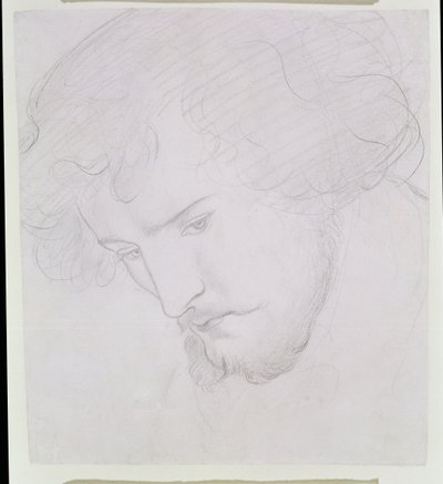 Der Same Davids - Studie für David, 1859-1862 von Dante Gabriel Charles Rossetti
