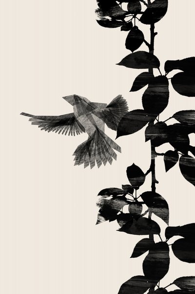 Fliegende Vogelsilhouette von Danushka Abeygoda