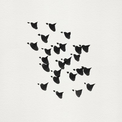 Minimalistische Vogelflug von Danushka Abeygoda