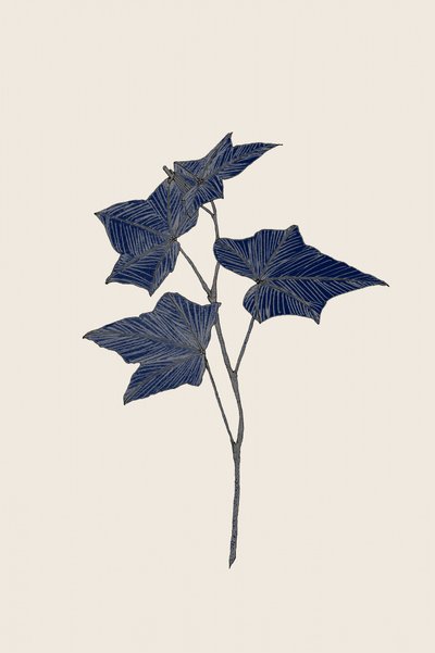 Marine Botanischer Zweig von Danushka Abeygoda