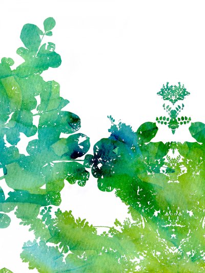 Lebendige Aquarellblätter von Danushka Abeygoda
