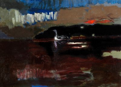 Prachttaucher von David Alan Redpath Michie