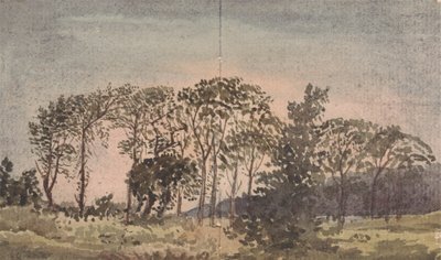 Landschaft mit Bäumen von David Charles Read