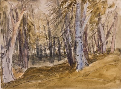 Bäume auf Box Hill von David Cox