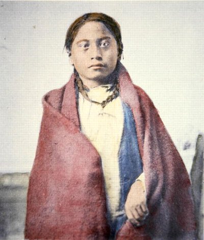 Crow Foot (gest. 1890) von David Frances Barry