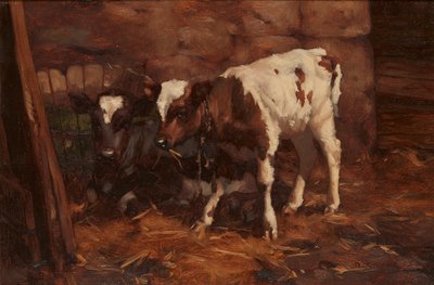 Zwei Kälber an einem Wasserfass (Öl auf Leinwand) von David Gauld