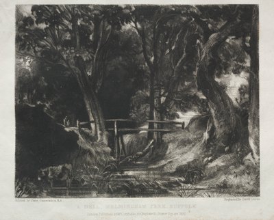 Verschiedene Landschaftsmotive, charakteristisch für englische Szenerien aus Bildern von John Constable, R.A.: Schlucht in den Wäldern von Helmingham Park, Suffolk von David Lucas