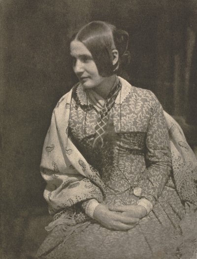 Dame im geblümten Kleid von David Octavius Hill