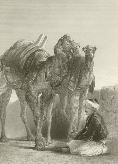 Eine Gruppe von Kamelen in Smyrna von David Wilkie