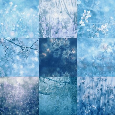 Traumhafte Blaue Botanicals von Delphine Devos