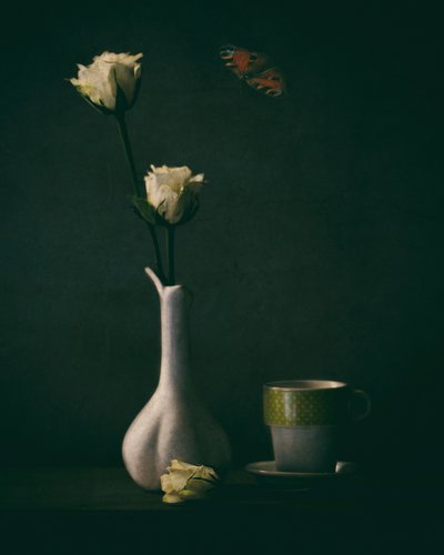 Elegante Rosen und Schmetterling von Delphine Devos