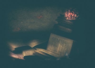 Verzauberte Studienbücher von Delphine Devos