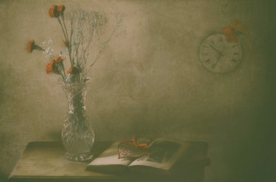 Verblasste Blumen und Zeit von Delphine Devos
