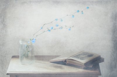 Vintage-Buch und blaue Blumen von Delphine Devos