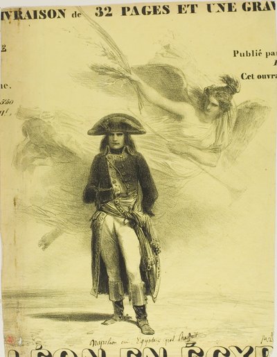 Napoleon in Ägypten von Denis Auguste Marie Raffet