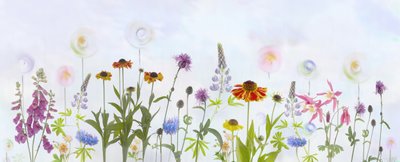 Träumerischer bunter Garten von Denis O Reilly