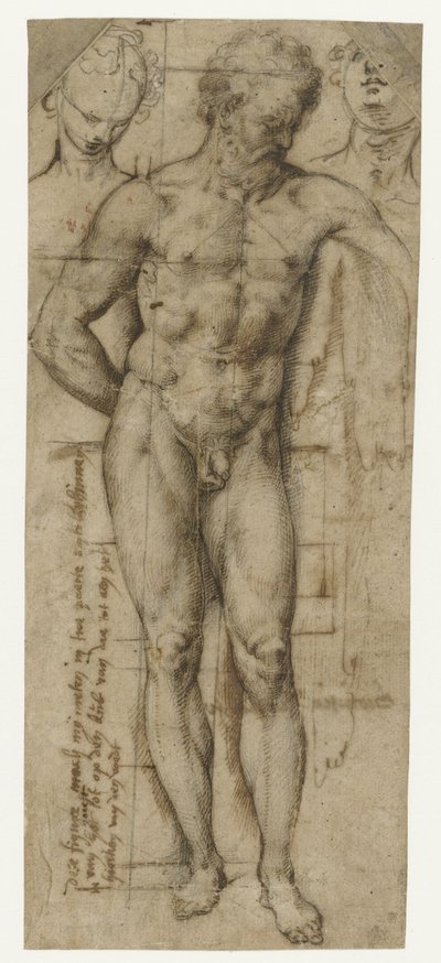 Studie eines nackten Mannes (Herkules?) und zwei Frauenköpfe von Denys Calvaert