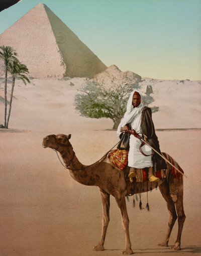 Beduine auf einem Kamel und die Große Pyramide, Kairo, Ägypten von Detroit Photographic Co.