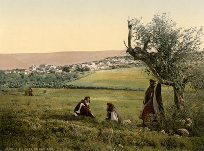 Gesamtansicht, Kana in Galiläa, Heiliges Land, ca. 1890-1900 von Detroit Publishing Co.