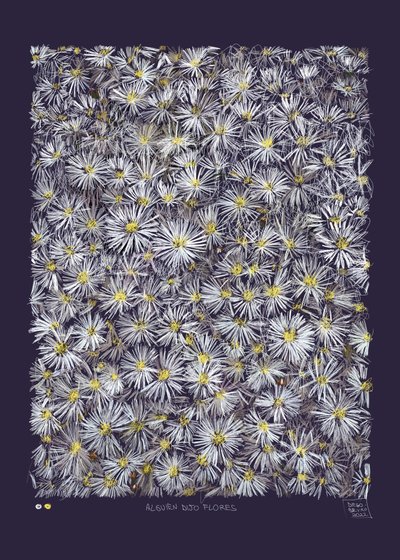 Jemand sagte Blumen, 2022 von Diego Beyro