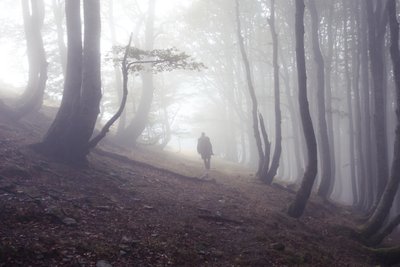 Weg nach Roncesvalles mit Pilger von Diego Beyro