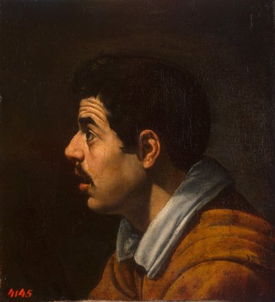 Kopf eines Mannes im Profil, um 1616-1617 von Diego Velázquez