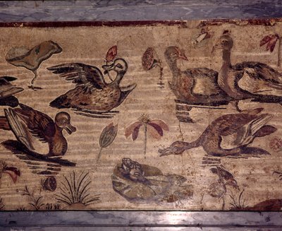Römisches Mosaik aus Pompeji von Enten und Fröschen in einem Wassergarten von Dioscurides of Samos