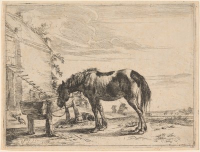 Ein Pferd an eine Futterkrippe gebunden von Dirck Stoop