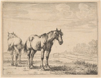 Zwei Pflugpferde auf einem Feld von Dirck Stoop